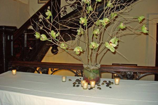 Ilienne Florals, Ltd
