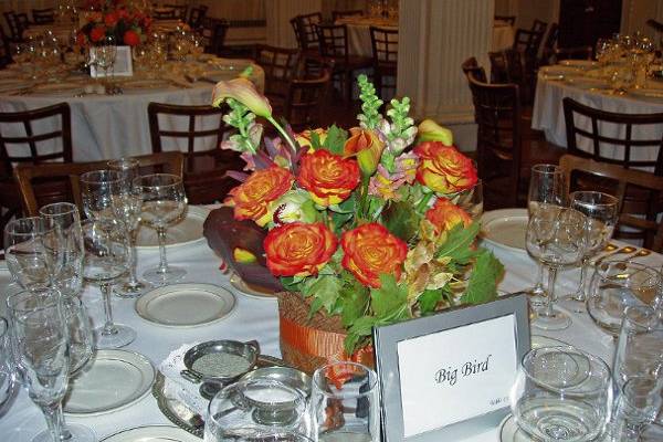 Ilienne Florals, Ltd