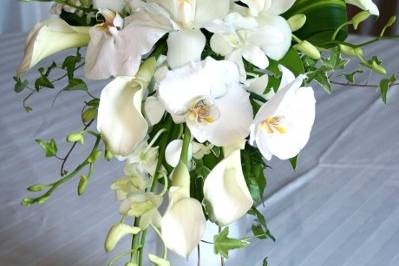 Ilienne Florals, Ltd