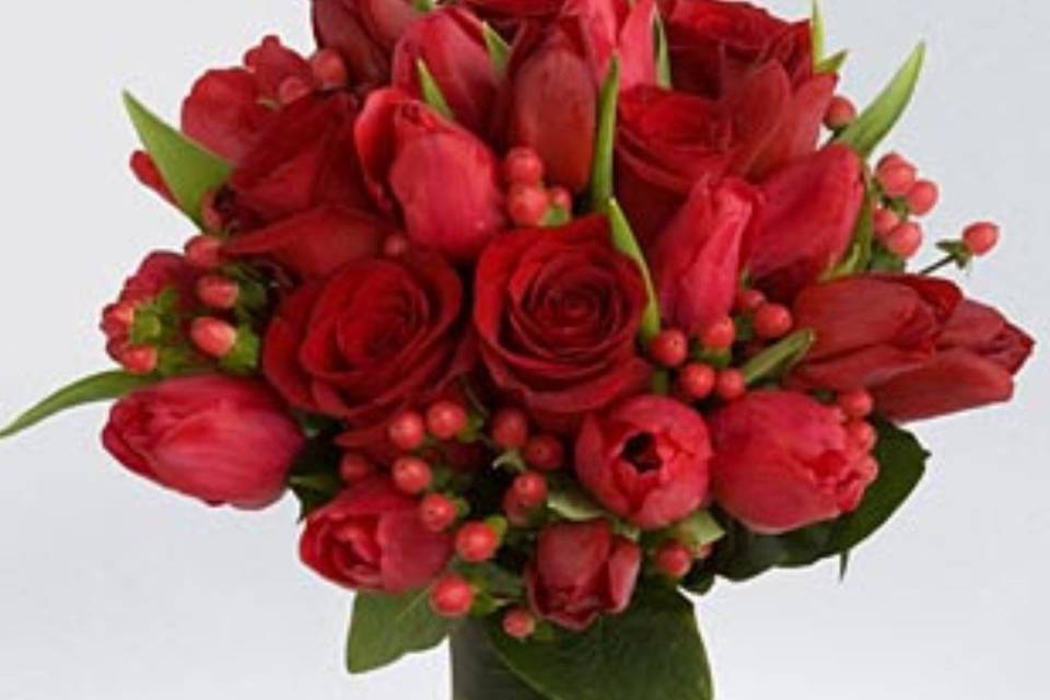 Ilienne Florals, Ltd