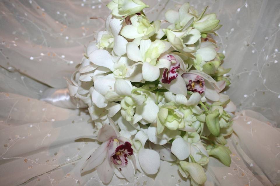 White Dendrobium orchids and blush Cymbidiums