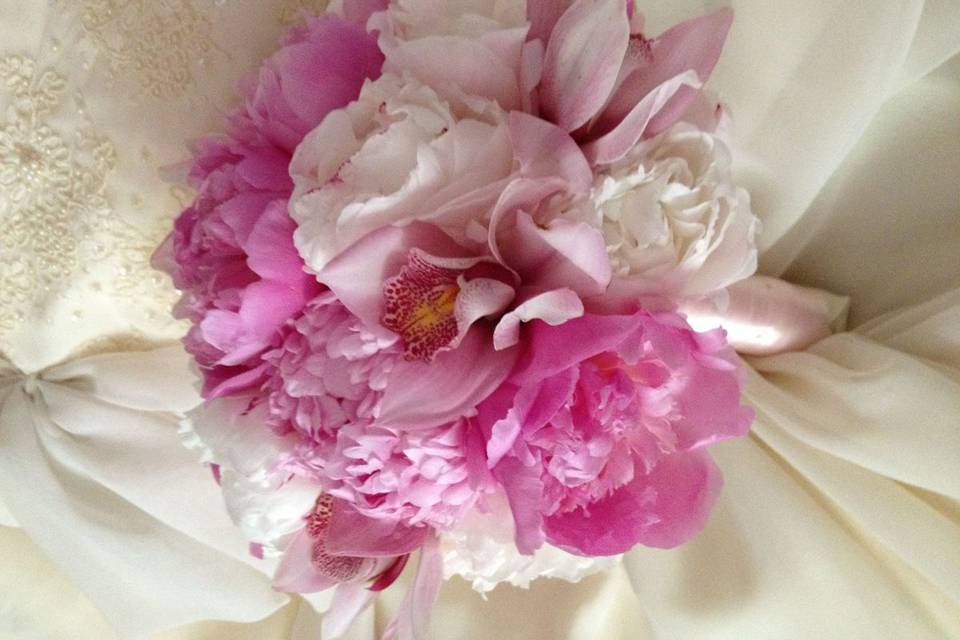 Ilienne Florals, Ltd