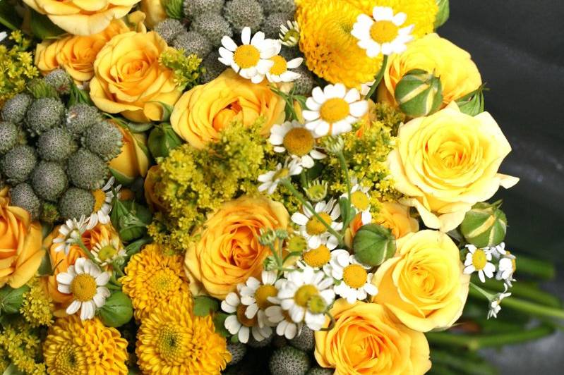 Ilienne Florals, Ltd