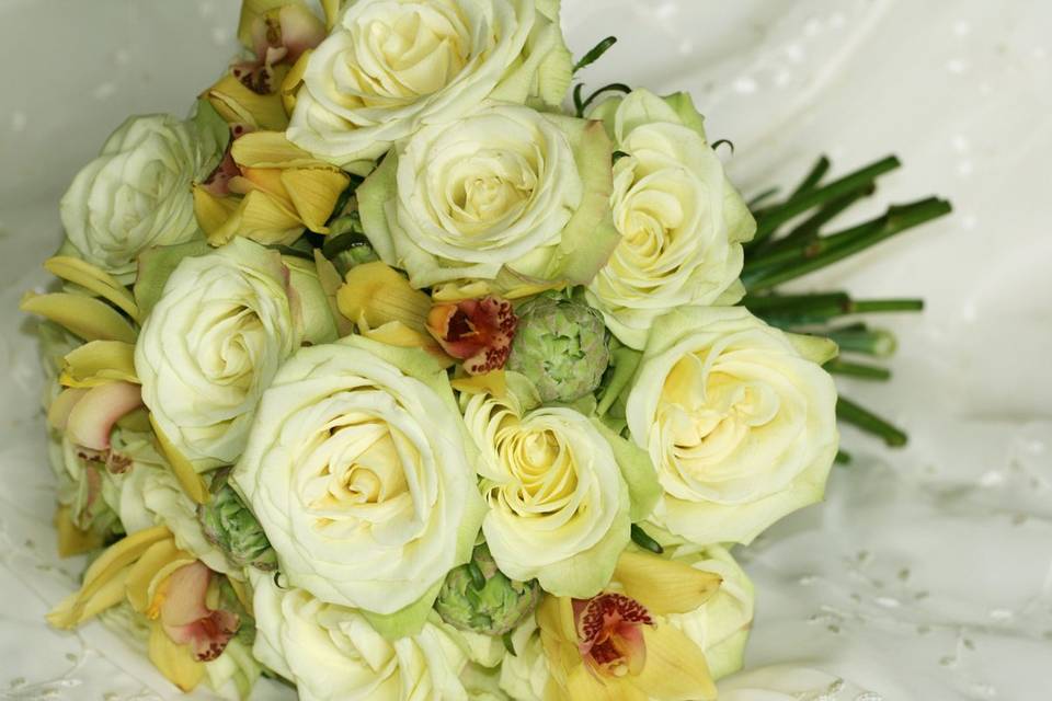 Ilienne Florals, Ltd