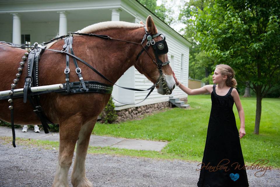 The Granger Homestead and Carriage Museum