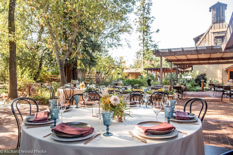 Dining on the Patio