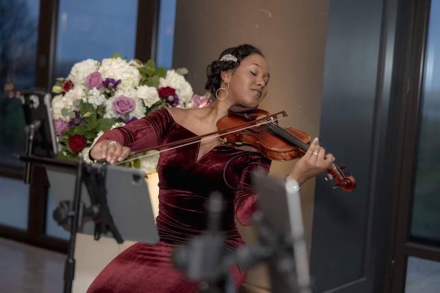 Violinist at wedding