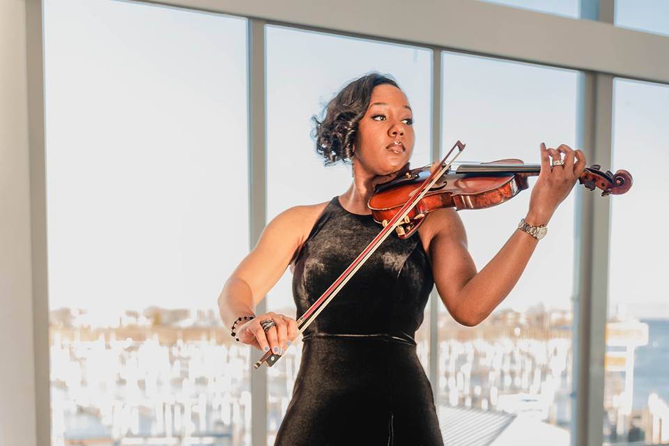 Violinist at wedding