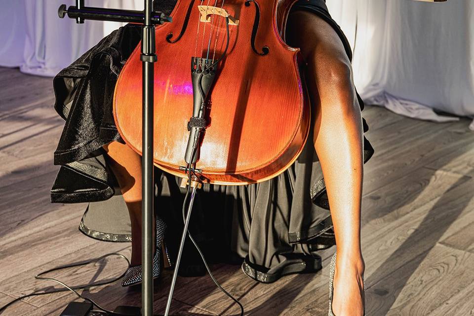 Cellist at wedding