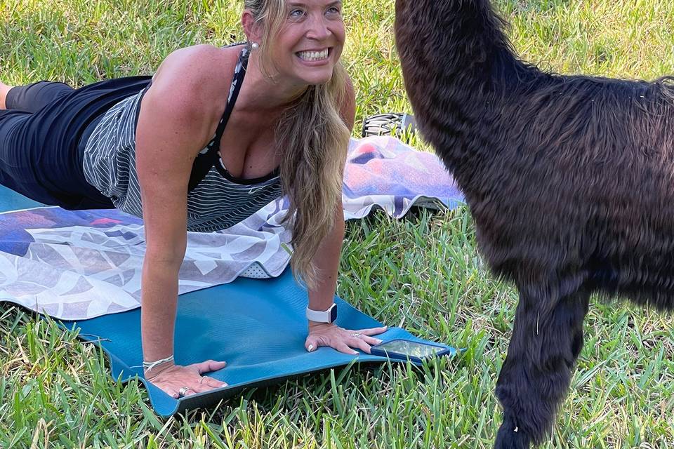 Animal Encounters Yoga