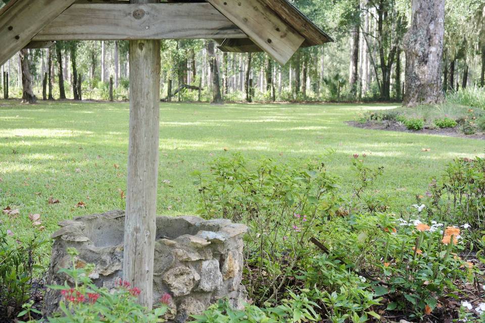 Butterfly Garden