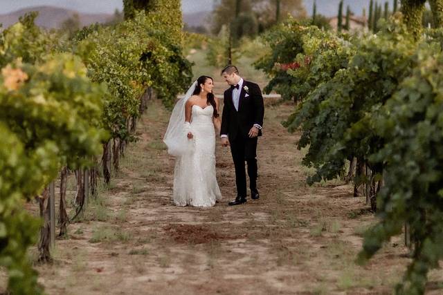 Ponte Winery Wedding