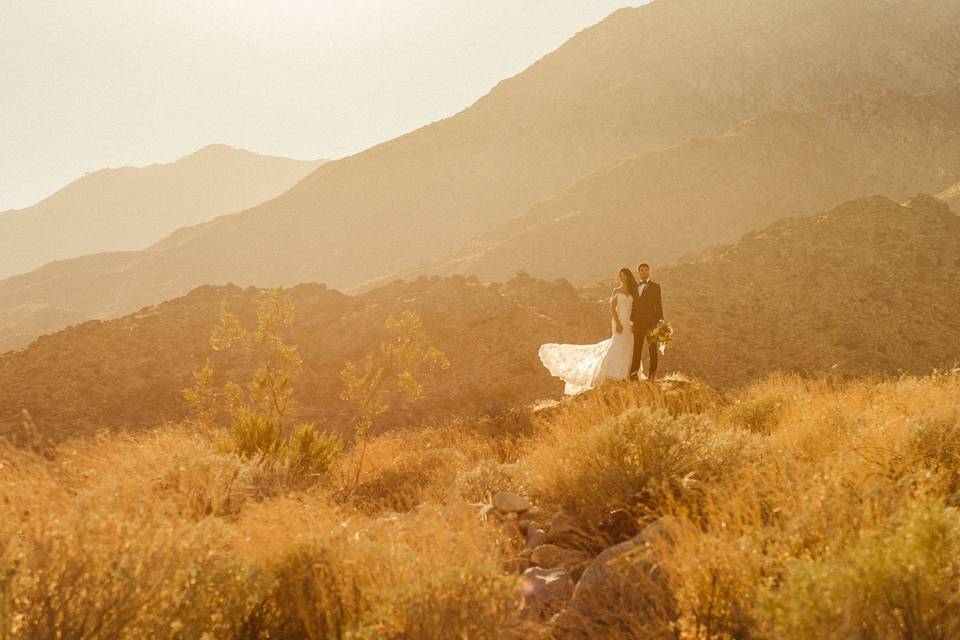 Palm Springs Wedding