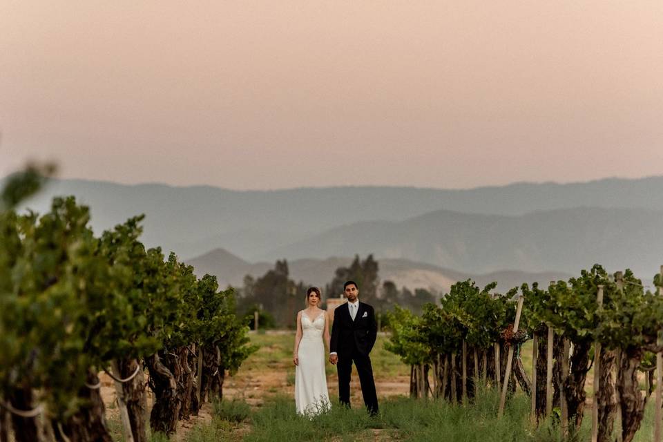 Ponte Winery Wedding