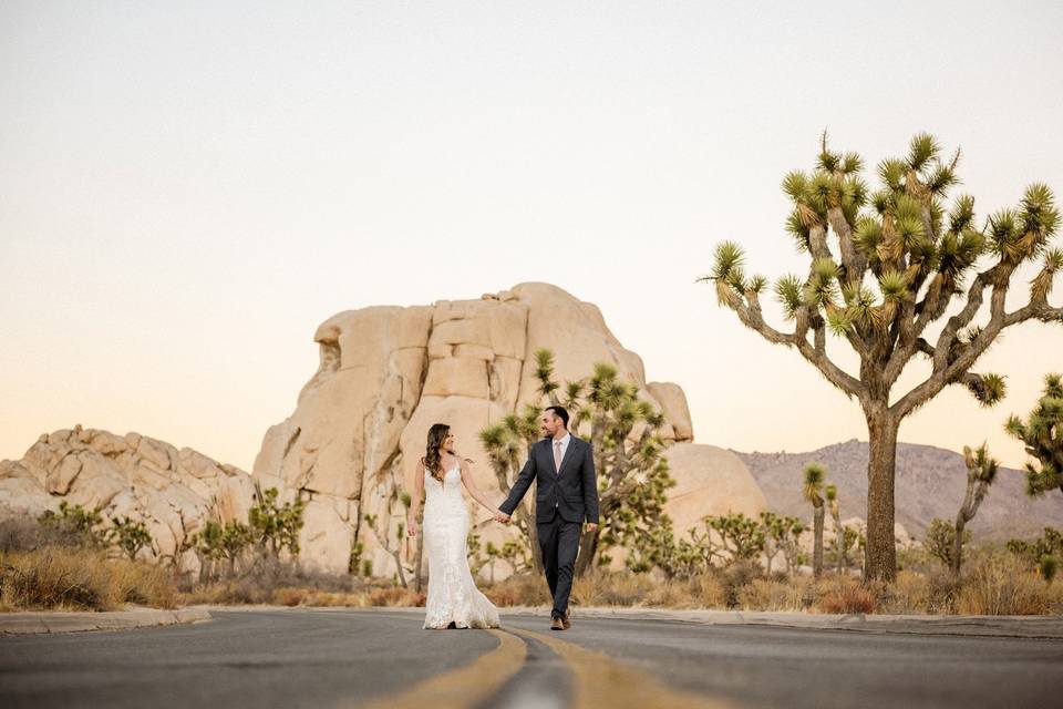 Elopement In Joshua Tree