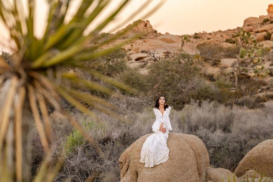 Joshua Tree Boho Wedding