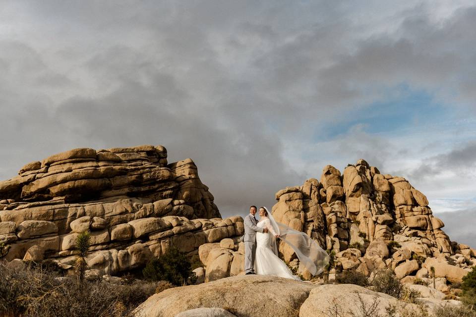 Joshua Tree Elopement