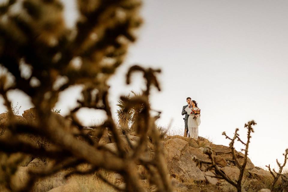 Joshua Tree Wedding