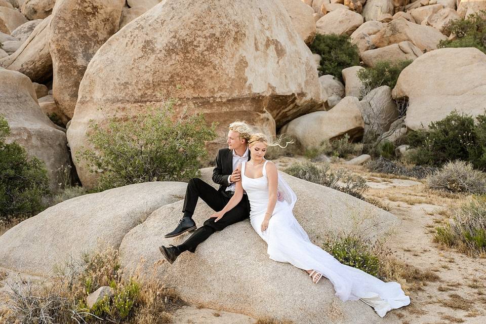 Joshua Tree Wedding