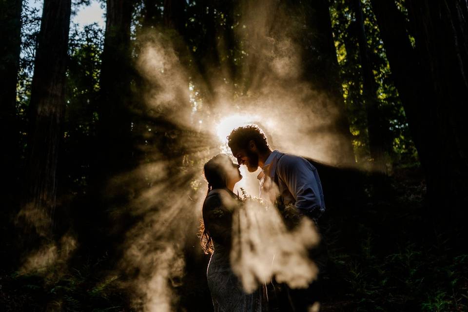 Redwood Elopement, Big Sur