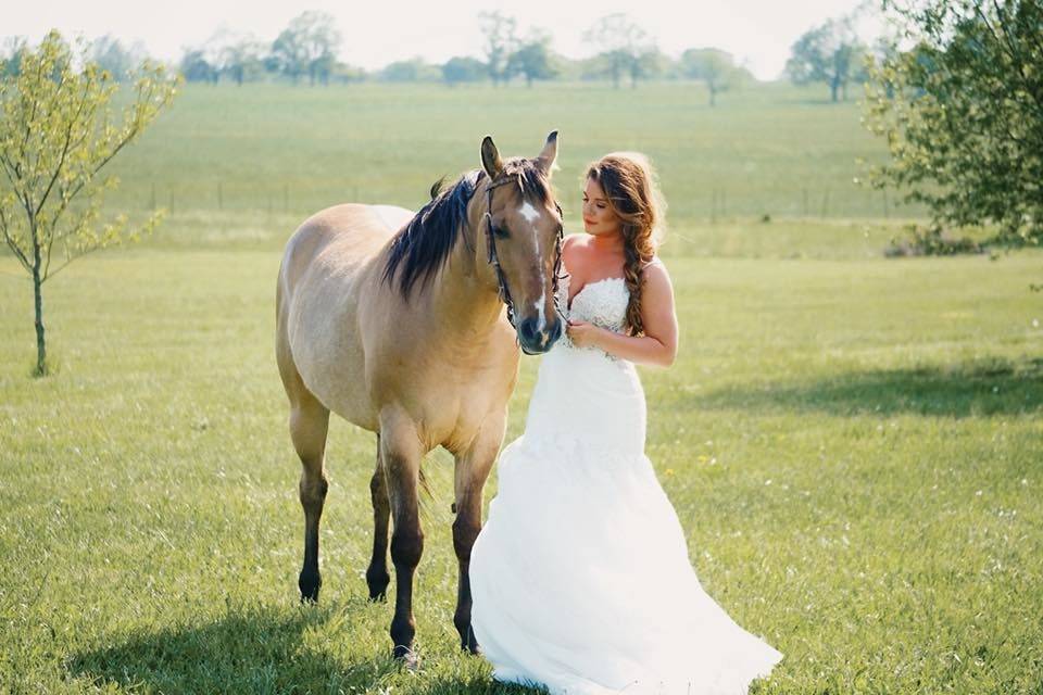 Bride and the horse