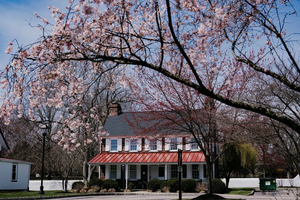 Spring at Normandy Farm