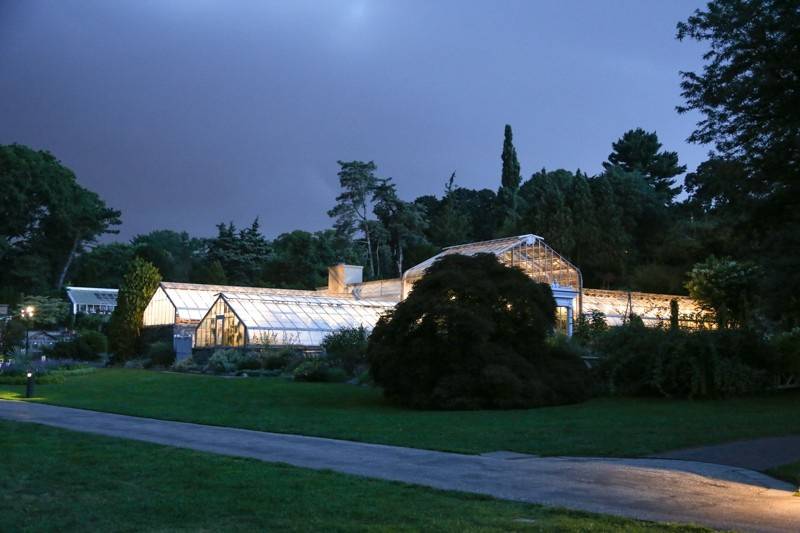 Conservatory at Night lights
