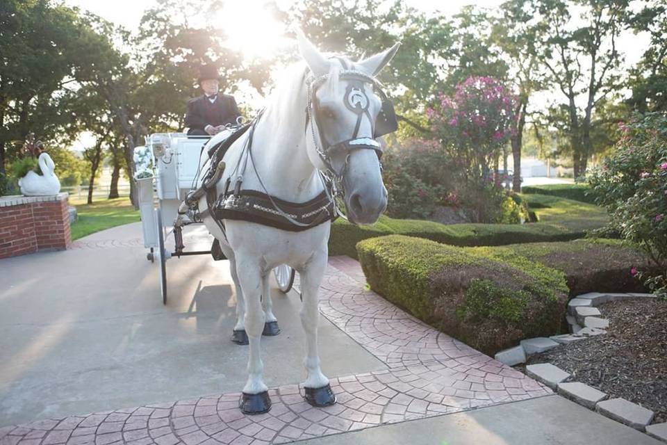 Bridal carousel