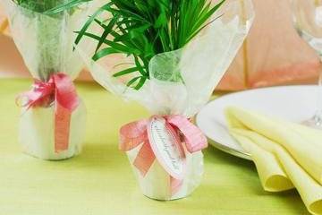 Mini Palm Plant Wedding Favors