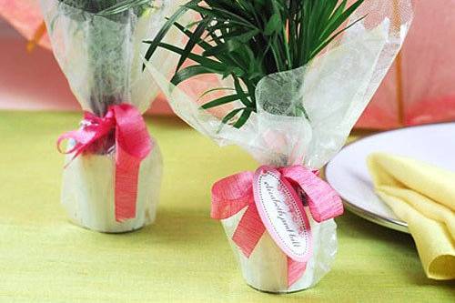 Mini Palm Plant Wedding Favors