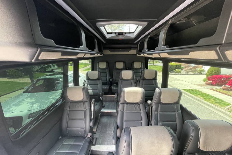 Sprinter Van Executive