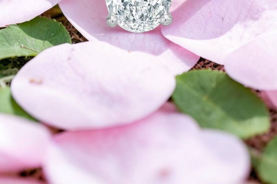 Oval Cut Solitaire