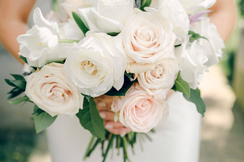 Soft Romantic Blooms