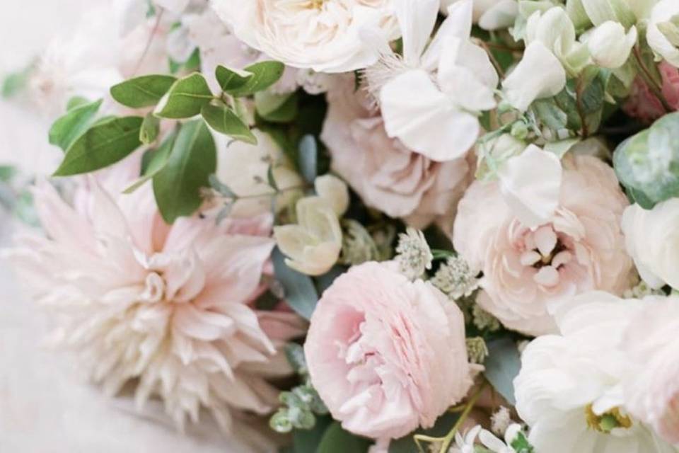 Blush Blooms