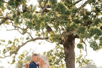Picturesque Bride and groom