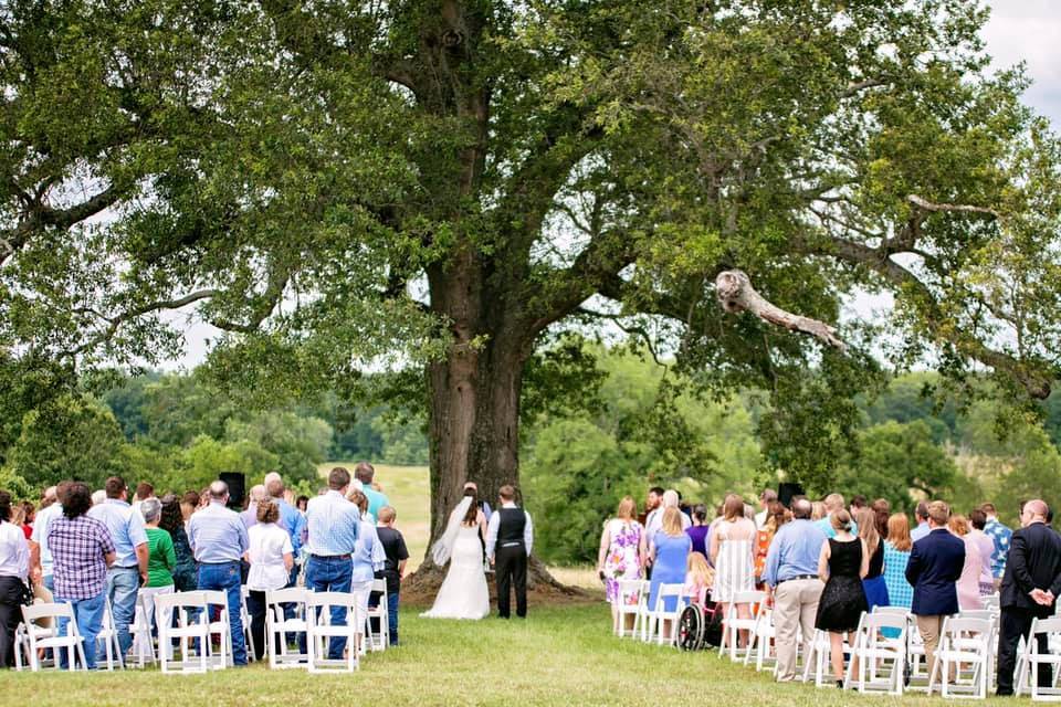 Outdoor Ceremony Space