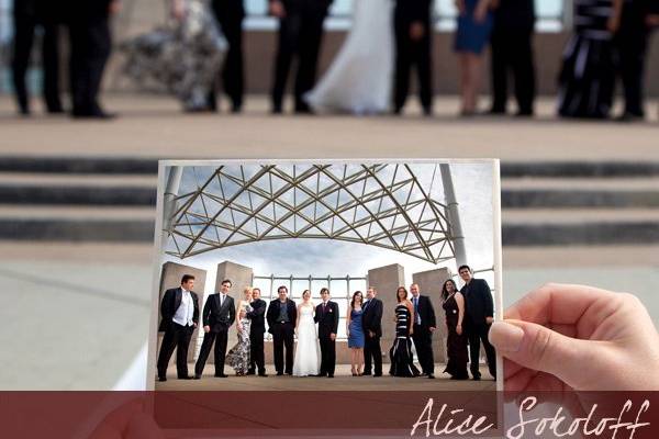 Alice Sokoloff Photography