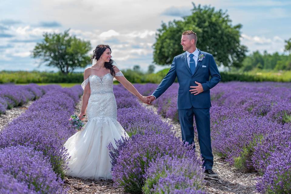 Love in lavender