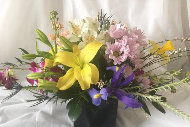 Colorful arrangement