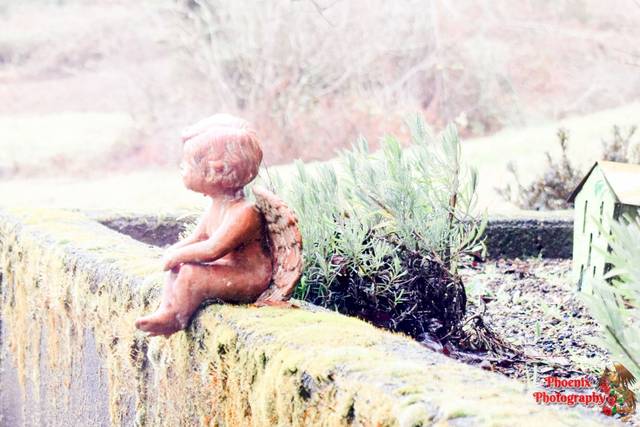 Gina May Brown Photography