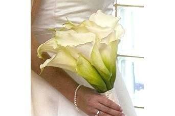 Please view our website to see more photos of our actual designs. Photograph courtesy of Reflections Creative Photography.