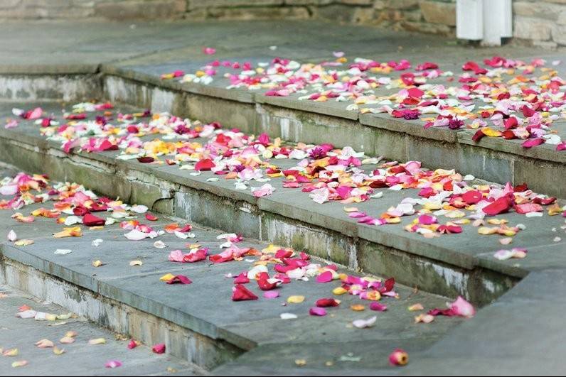 Courtyard Decor