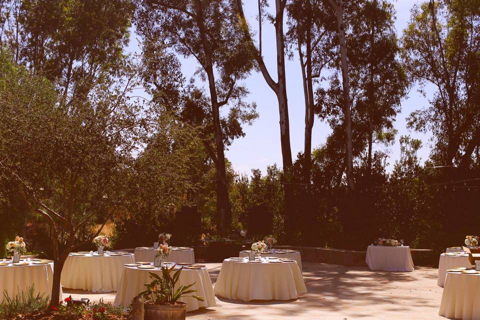 Anar Party Rentals