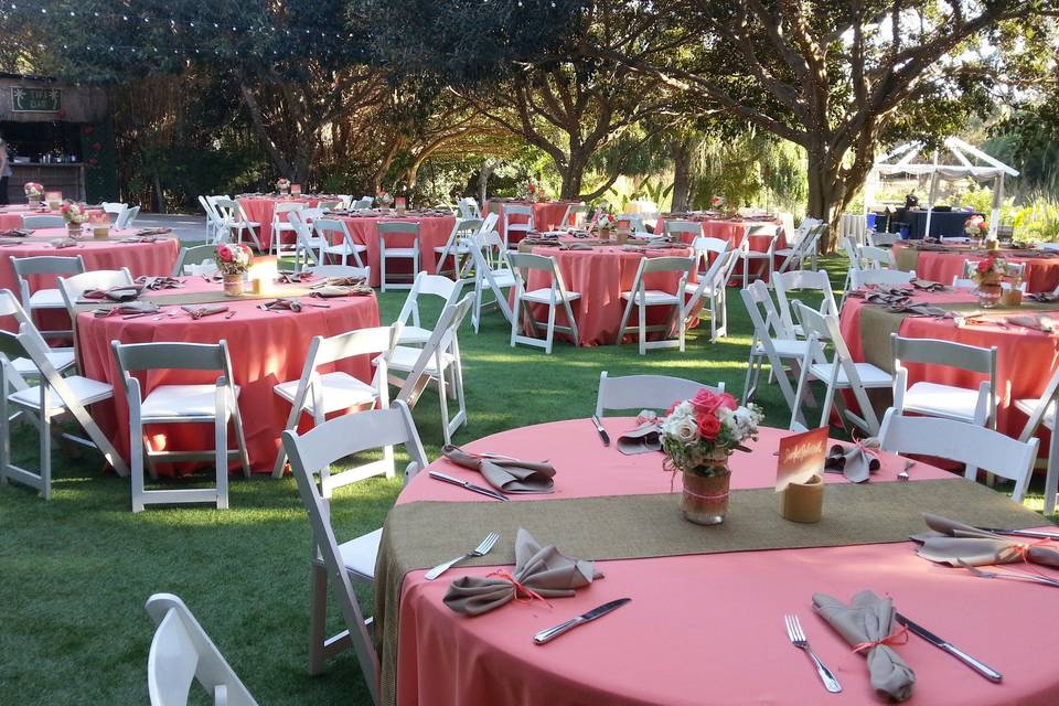 Anar Party Rentals