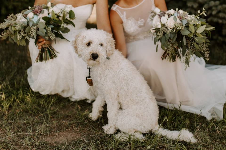 Brides with their dog - Anjali Nooka Photography