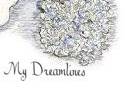 A brooch bouquet or jeweled bouquet is a beautiful display of jewels to make a beautiful wedding bouquet.  We add metallic accents to give each brooch bouquet that special sparkle. www.MyDreamlines.com