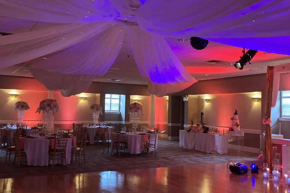 Ceiling draping