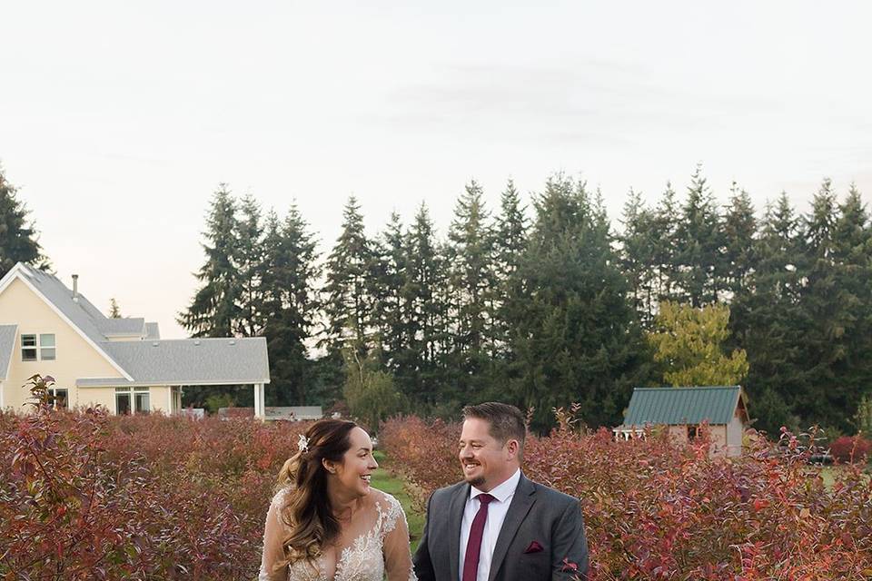 Salem vineyard wedding