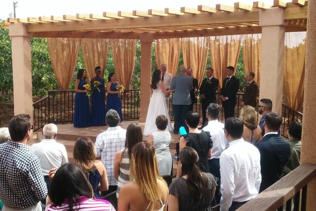 Wedding