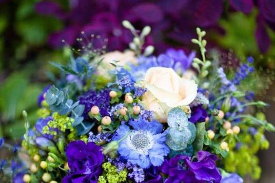 Blue and violet arrangement